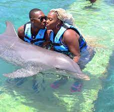 dolphin-cove-jamaica-2